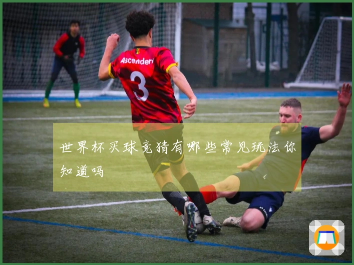 世界杯买球竞猜有哪些常见玩法你知道吗
