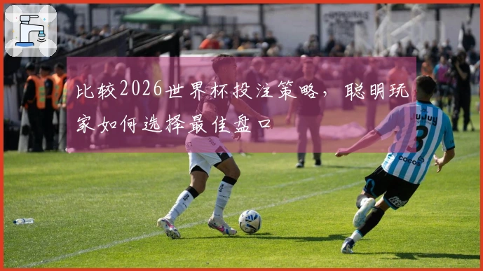 比较2026世界杯投注策略，聪明玩家如何选择最佳盘口