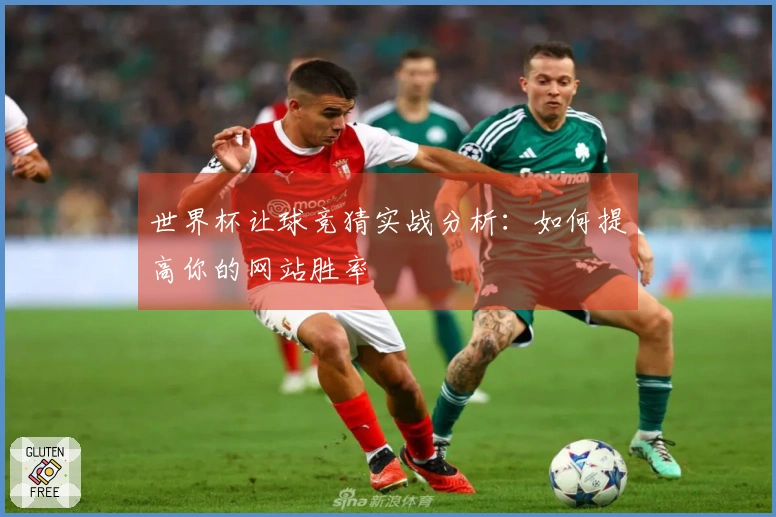 世界杯让球竞猜实战分析：如何提高你的网站胜率