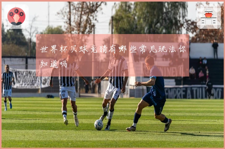 世界杯买球竞猜有哪些常见玩法你知道吗